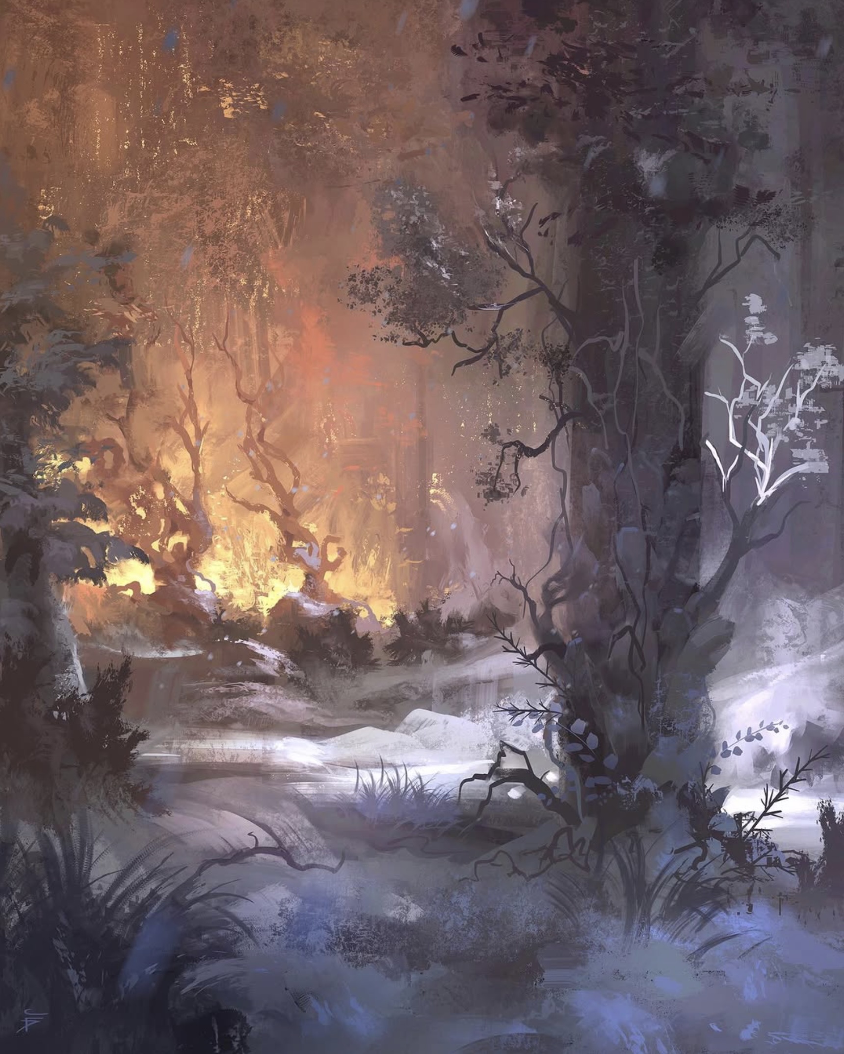 A thawing forest in early light